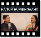 Na Tum Hamein Jaano (With Female Vocals) - MP3