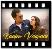 Saarattu Vandiyile (Full Version)(Without Chorus) - MP3