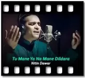 Tu Mane Ya Na Mane Dildara (Unplugged) - MP3