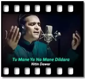 Tu Mane Ya Na Mane Dildara (Unplugged) Karaoke With Lyrics